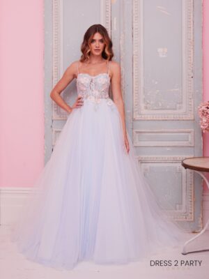 Saffron - Floral Appliqué Bodice Princess Dress